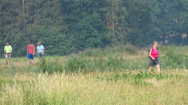 Singels en essen (zondag 10 juni 2018)